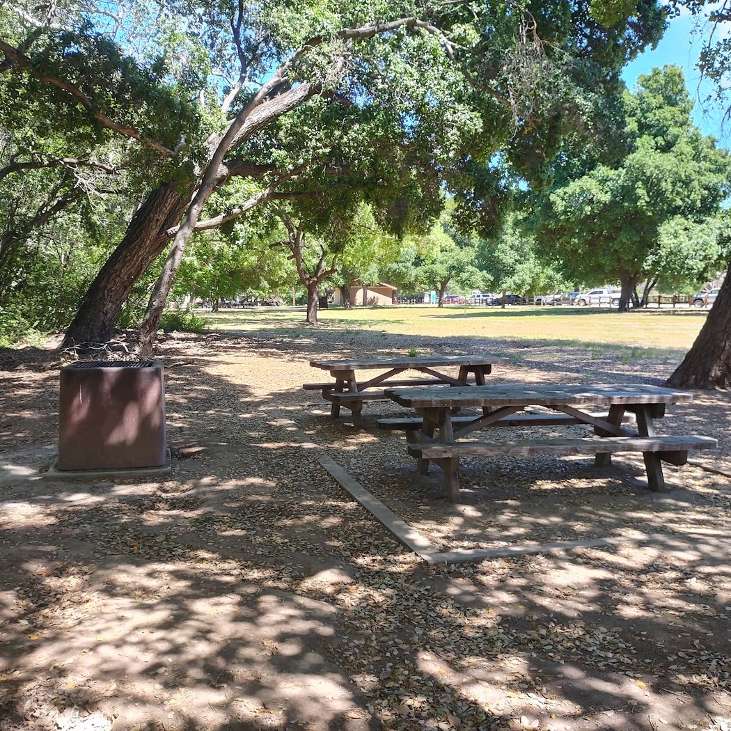 Anderson Lake County Park- Live Oak Picnic Area 2
