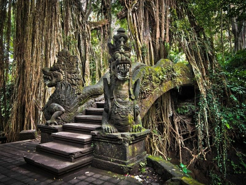 Sacred Monkey Forest Sanctuary 1