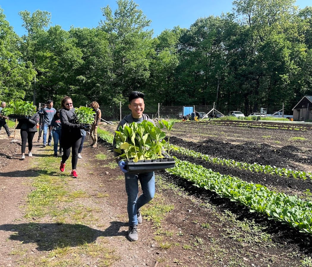 Sunday Farm Volunteer Day 3