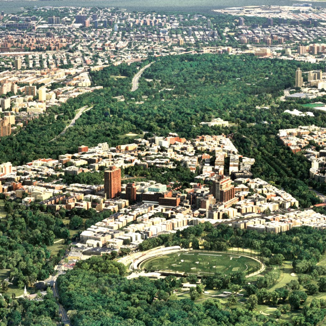 Before New York: The Bronx 1