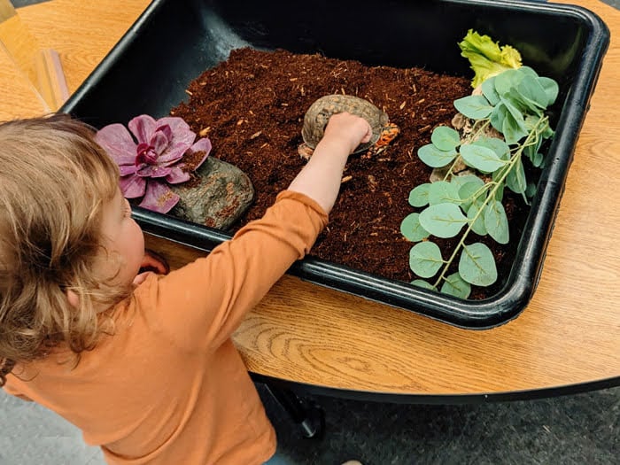 Animal Discovery Room 1
