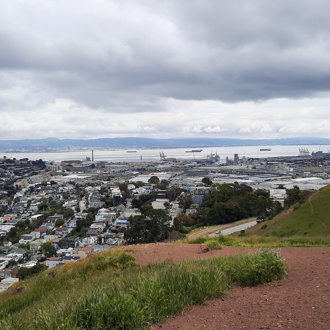 Bernal Heights Dog Play Area 3