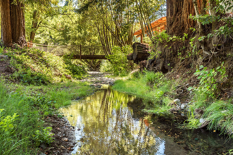 Forest View Ranch 1