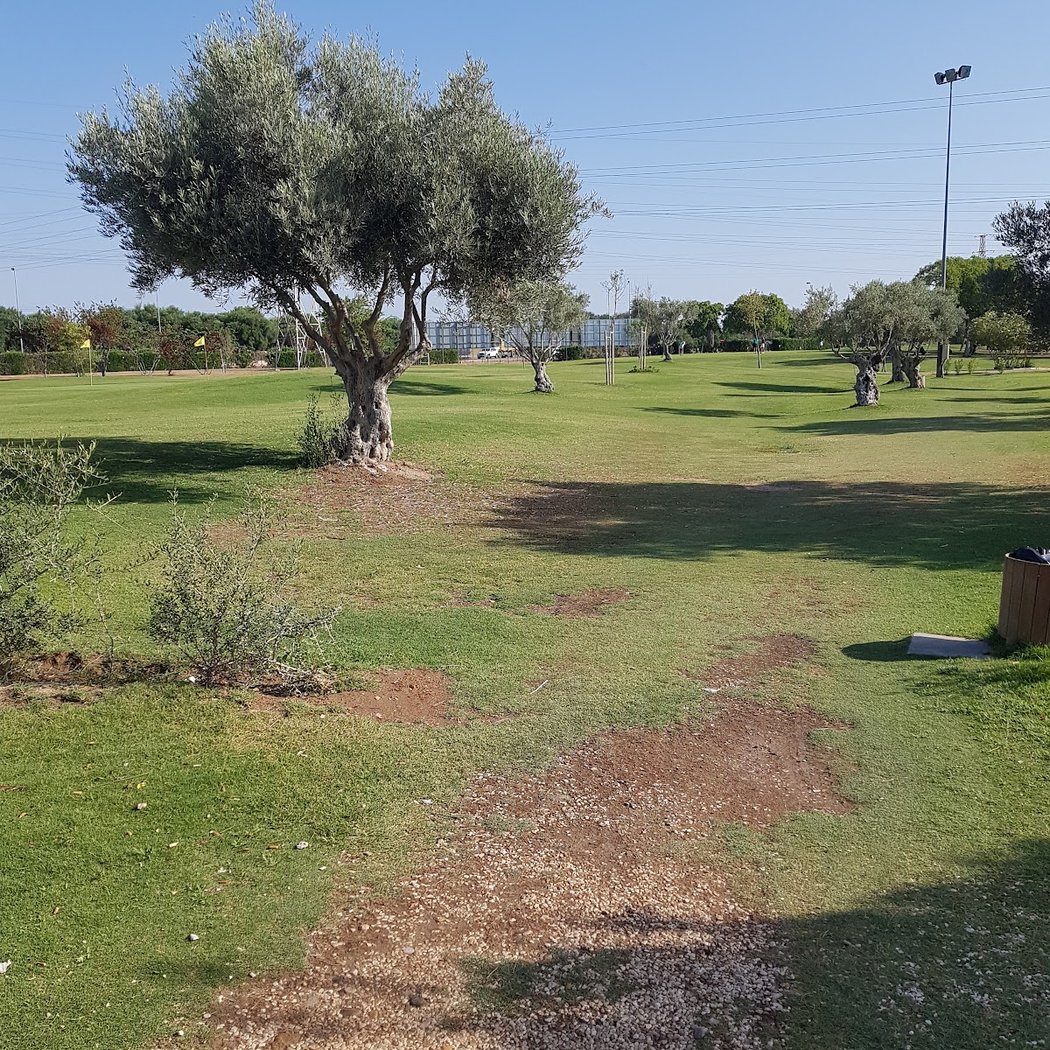 Sports facilities La Cartuja 3