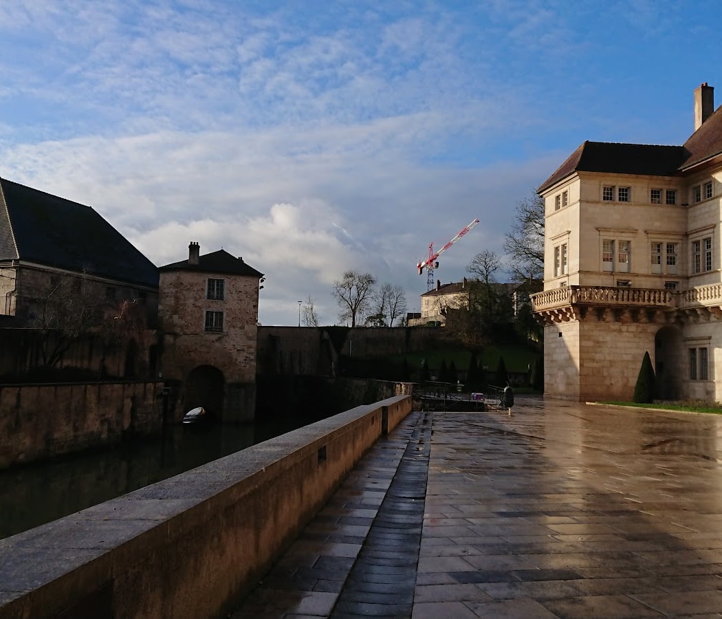 Dole Hôtel-Dieu Public Library 3