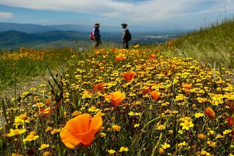 Bay Area Ridge Trail 1