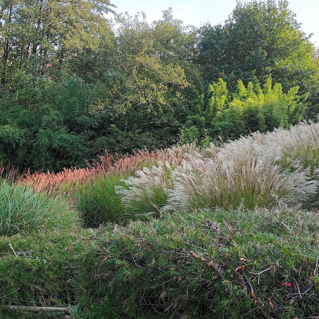 Les jardins d'Océanis 3