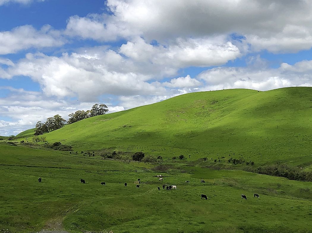 Lynch Canyon Volunteer Service Day - April 4