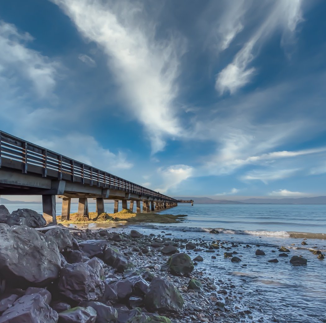 Point Pinole Pier 1