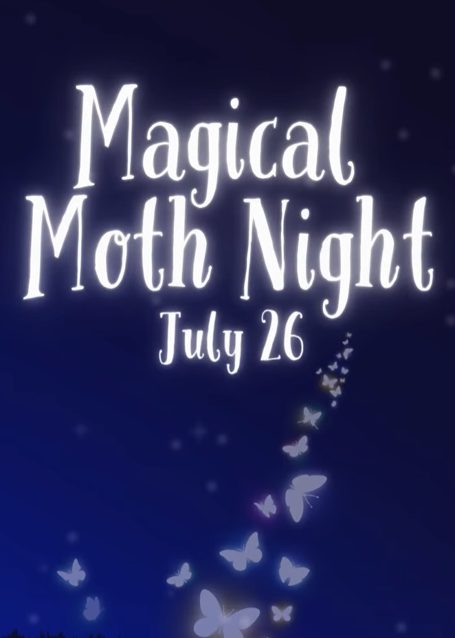 Magical Moth Night 1