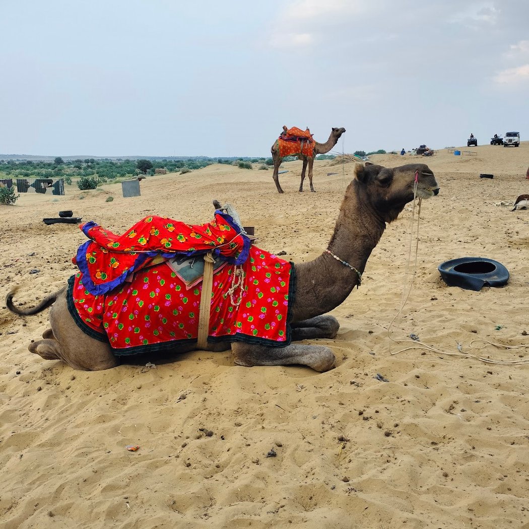 Travel Comfort – Your Local & International Travel Agency 1