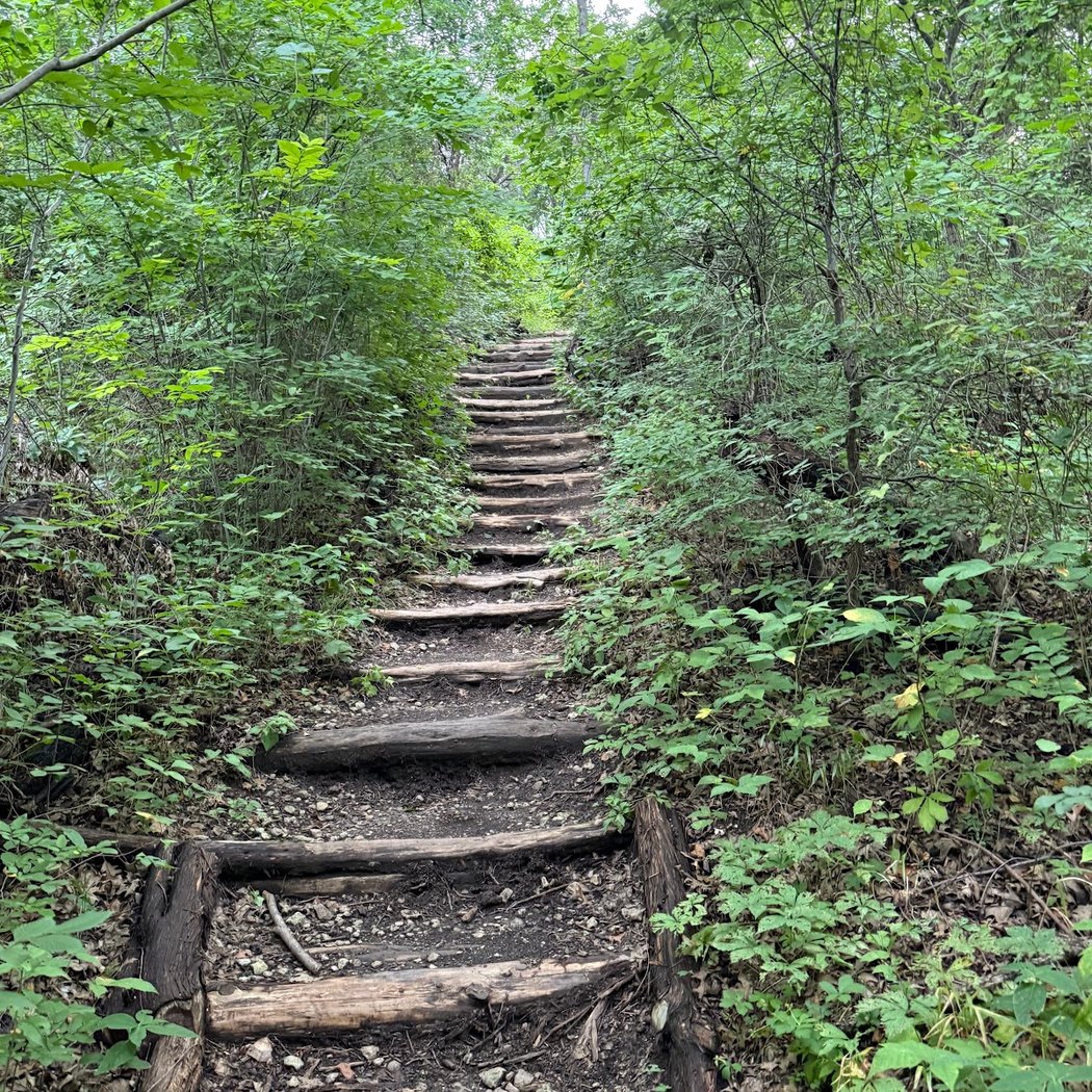 Cedar Ridge Preserve 3