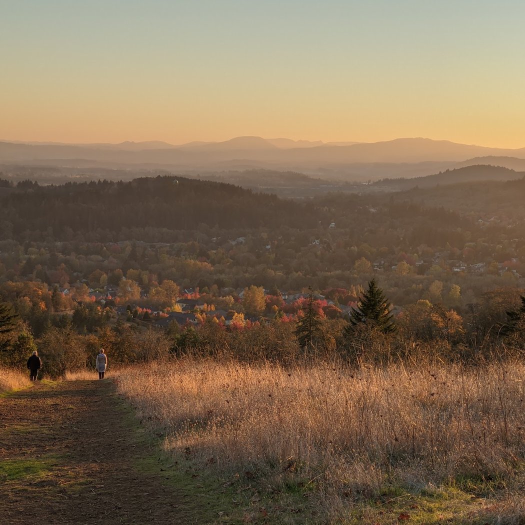 Chip Ross Park 1