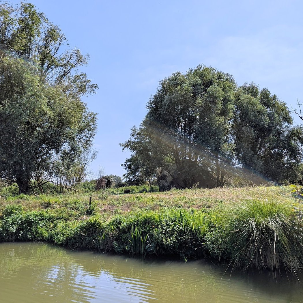 Marais Audomarois 3
