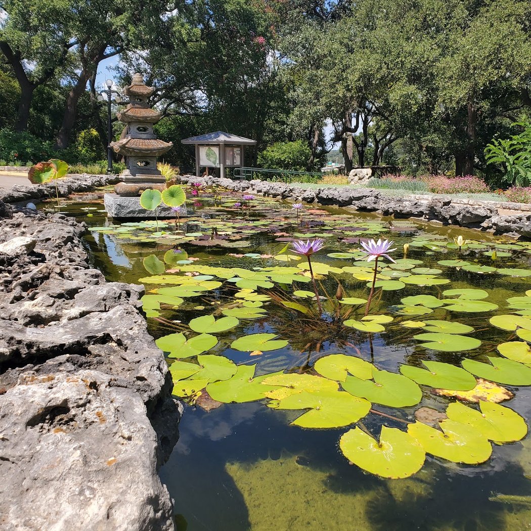 Free Day at Zilker Botanical Garden 3