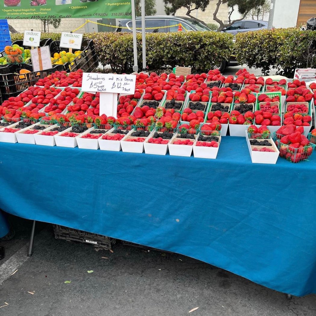 Saturday Morning Farmers Market 1