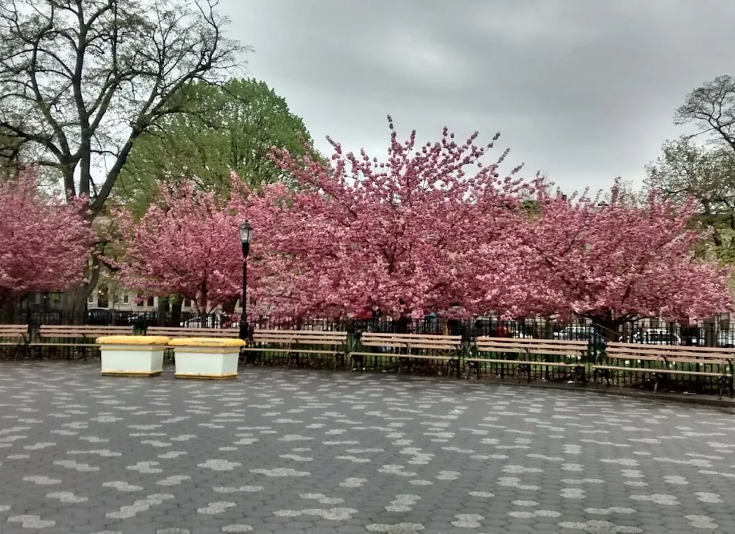 Maria Hernandez Park 1