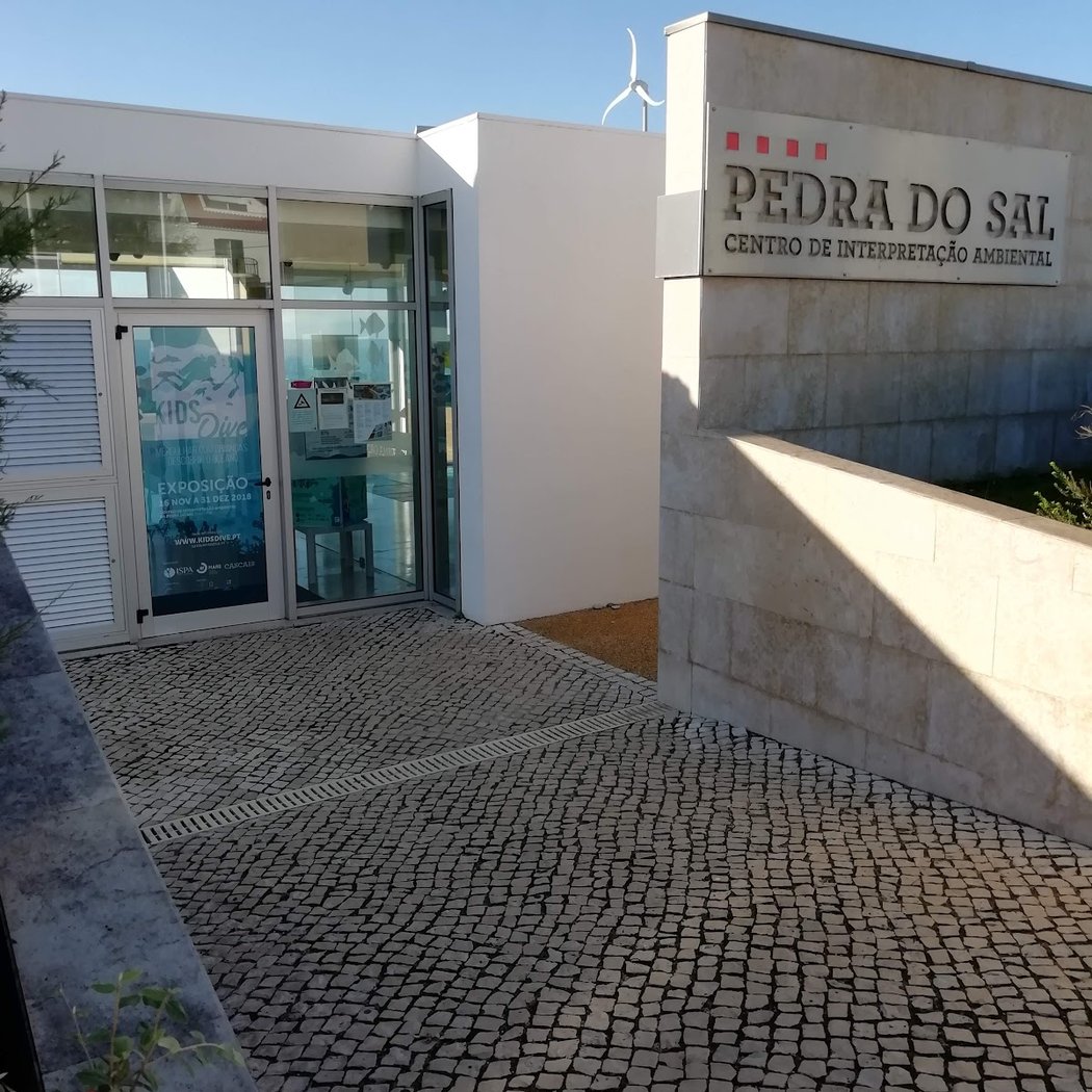 Ecossistemas do Mar profundo 2