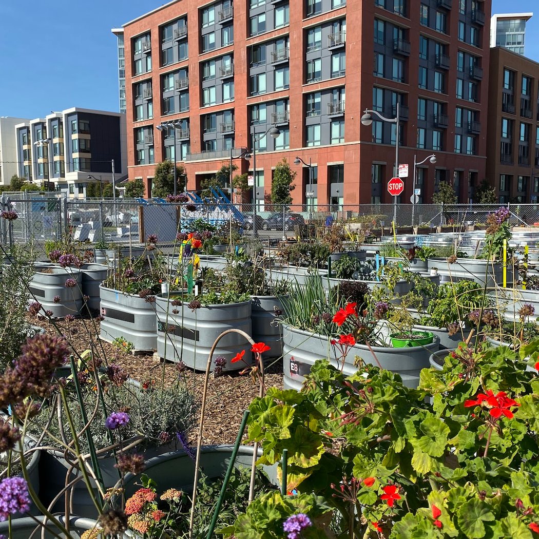 Parklab Community Garden 1