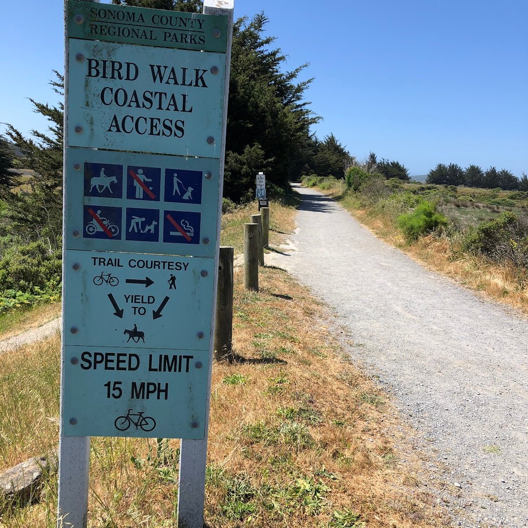 Birdwalk Coastal Access Trail 2