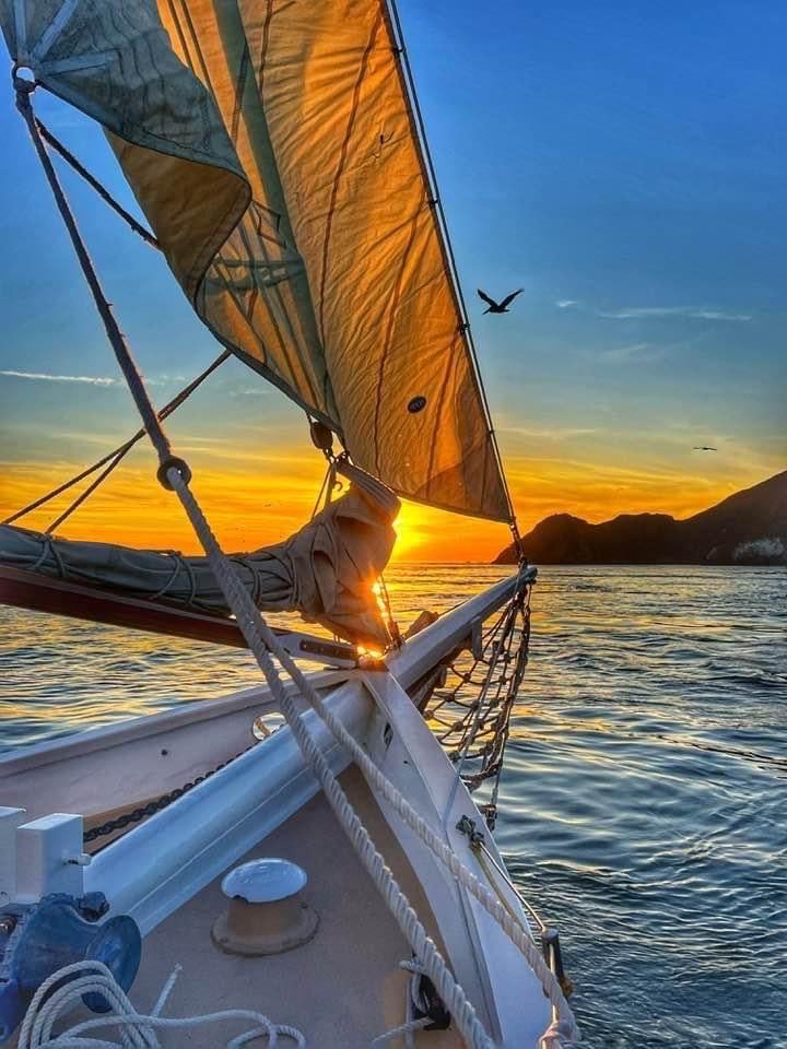 SF Bay Adventures 3