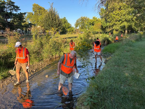 Macroinvertebrate Survey 1