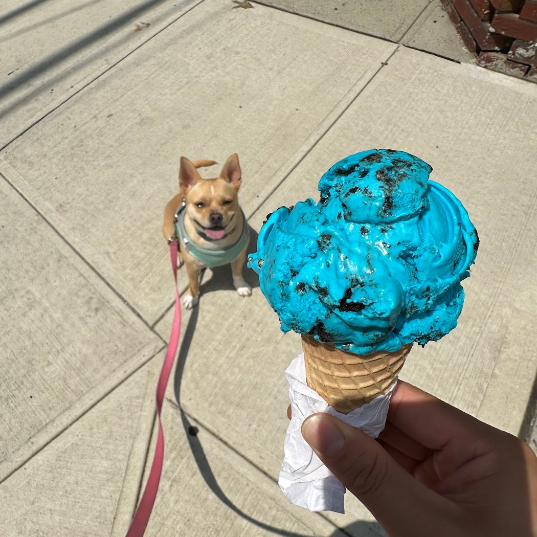 Isabella's Italian Ices & Ice Cream 1
