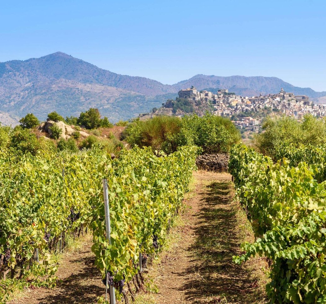 Wine 201: Sicily 1