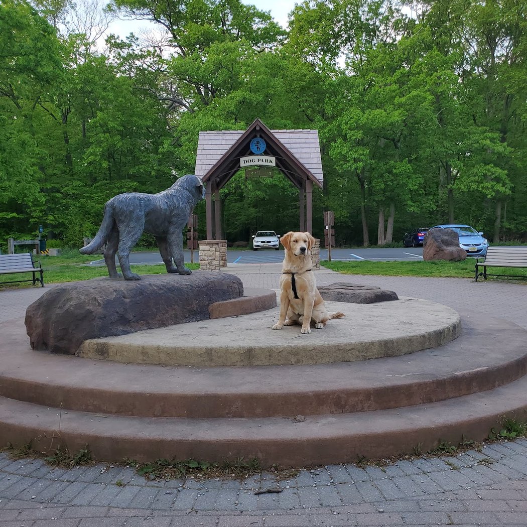 South Mountain Dog Park 1