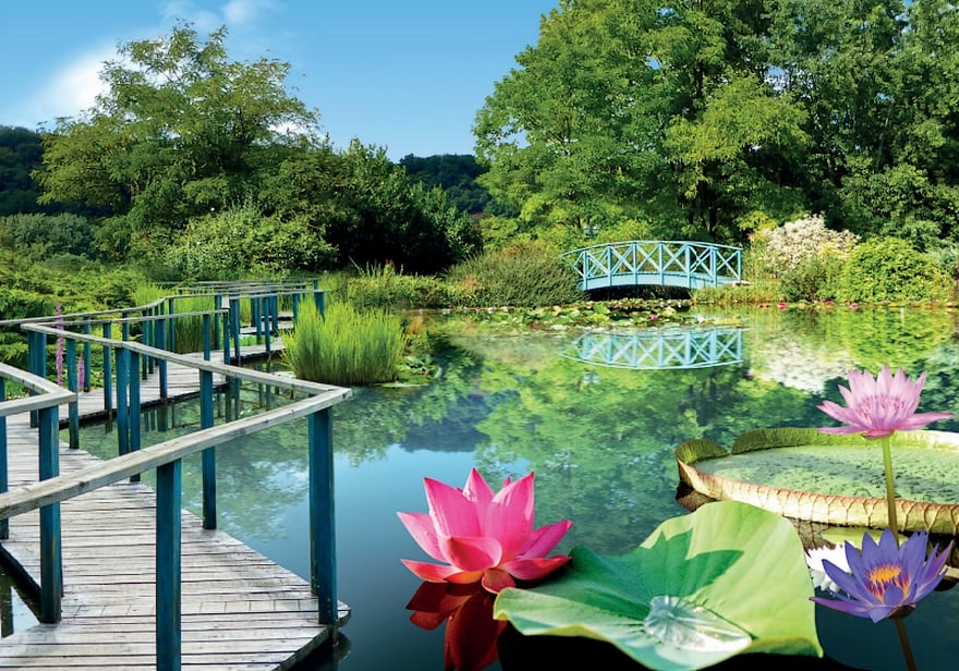 The Water Gardens of Carsac 1