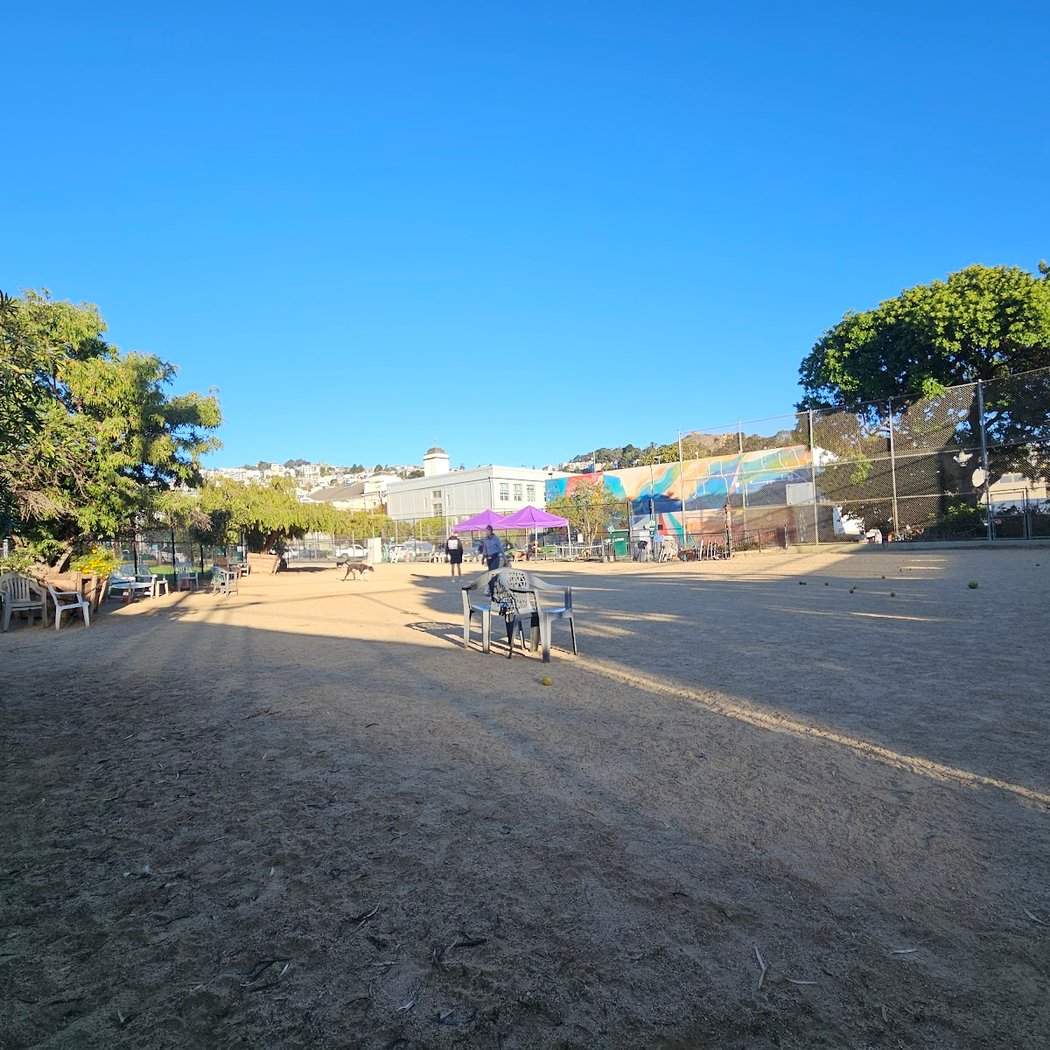 Eureka Valley Dog Play Area 2
