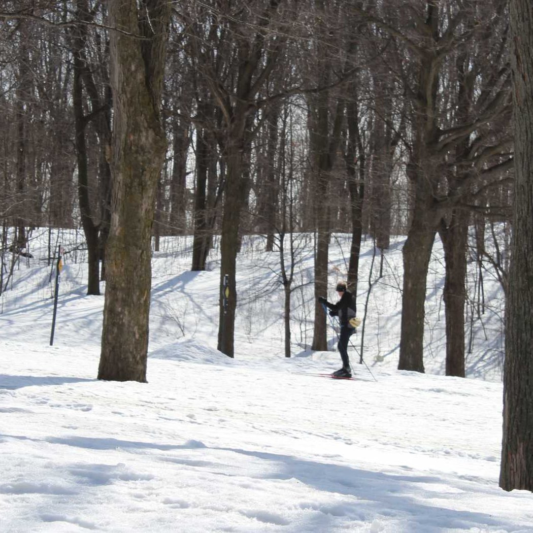 Mount Royal 3