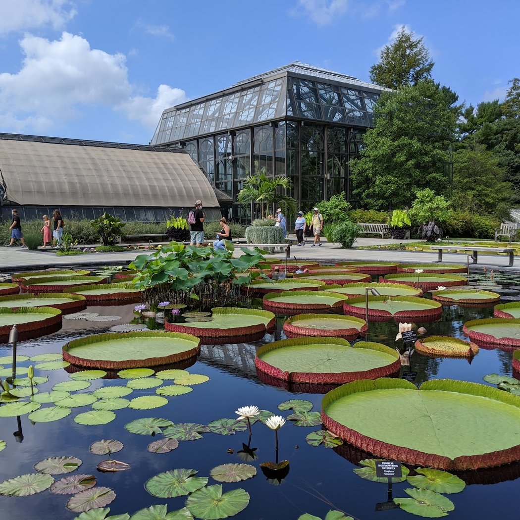 Longwood Gardens 4