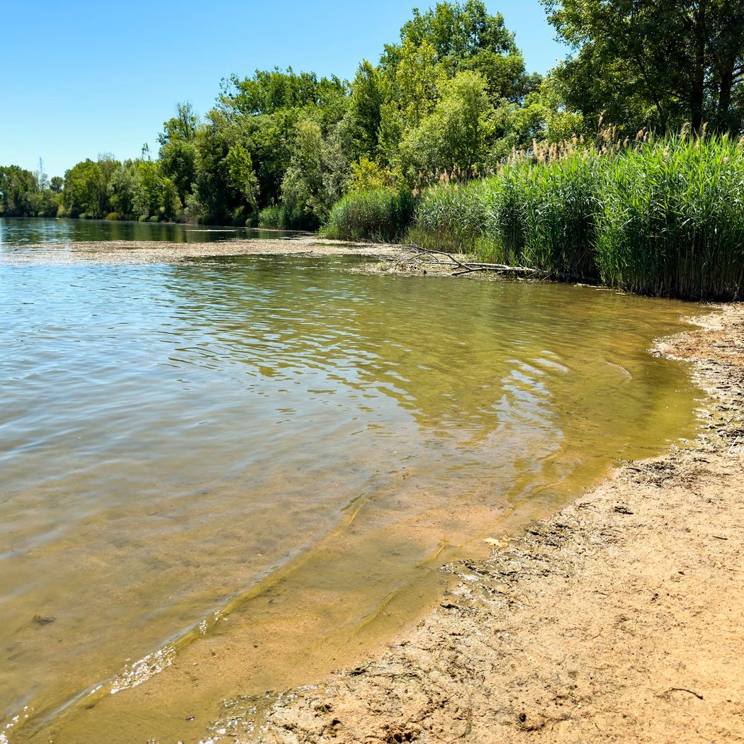 Plan d'Eau du Bordelan 4
