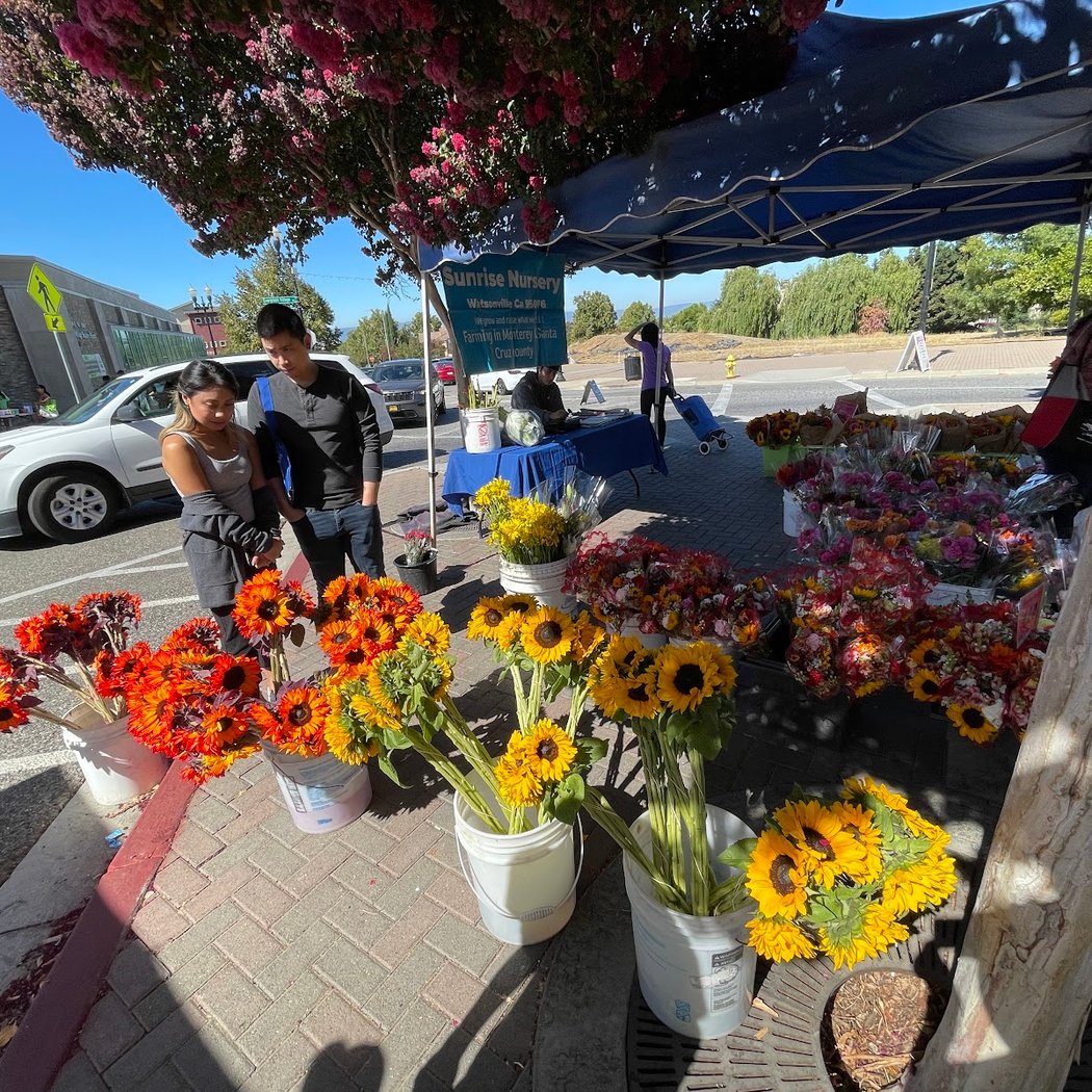 San Jose Evergreen Farmers Market 2