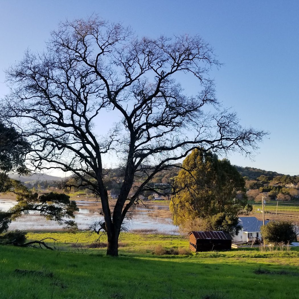 Deer Island Open Space 3