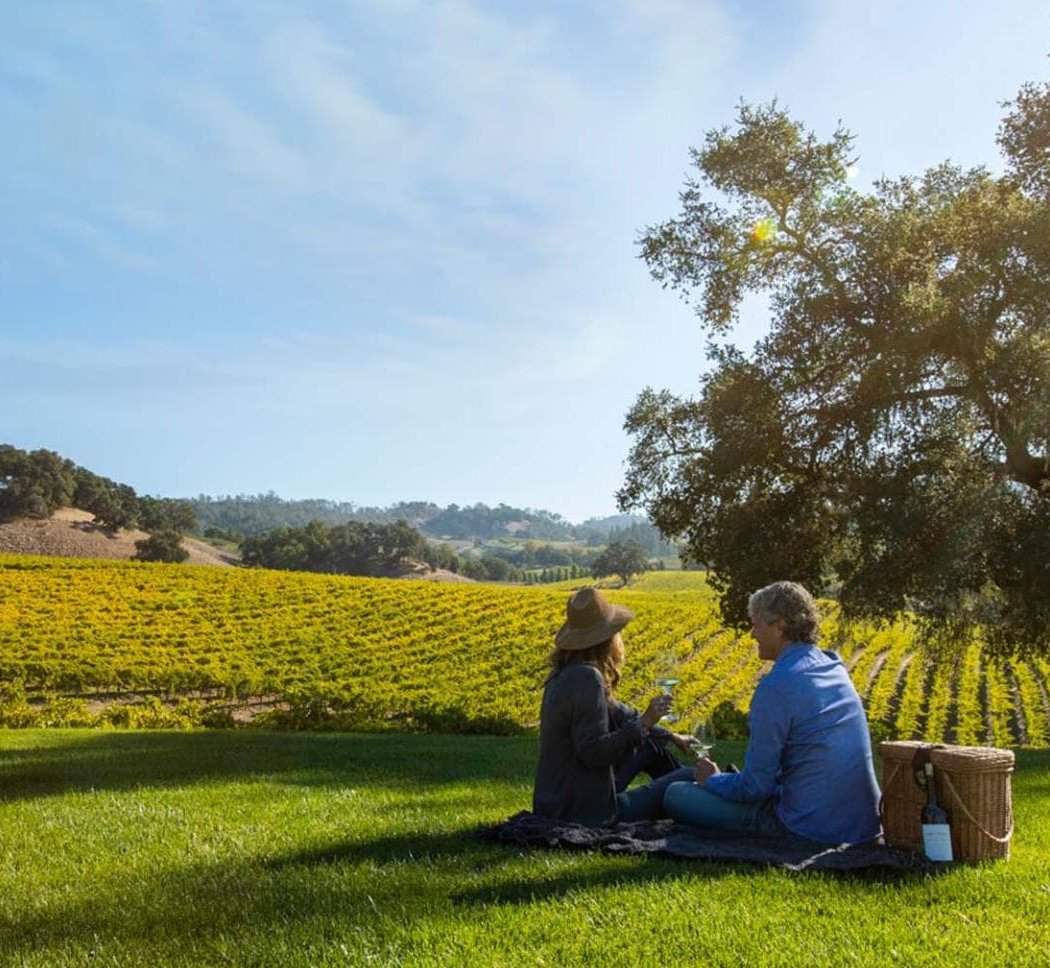 Obsidian Wine Co. | Base Camp (Tasting Room) 2