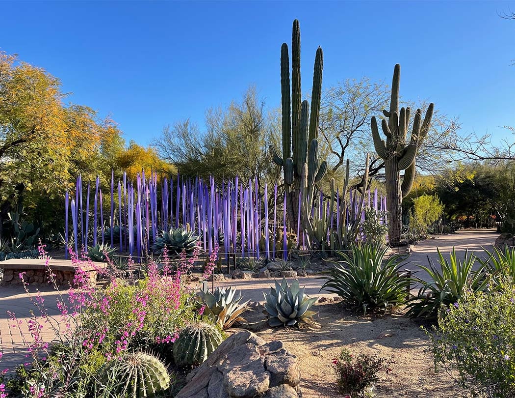 Desert Botanical Garden 2