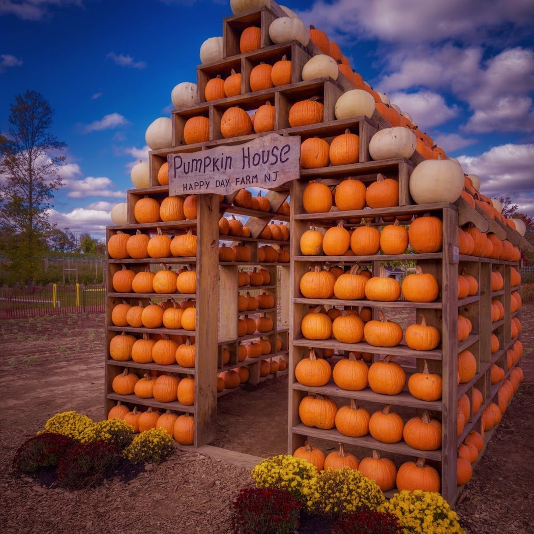 Happy Day Farm Fall Festival 3