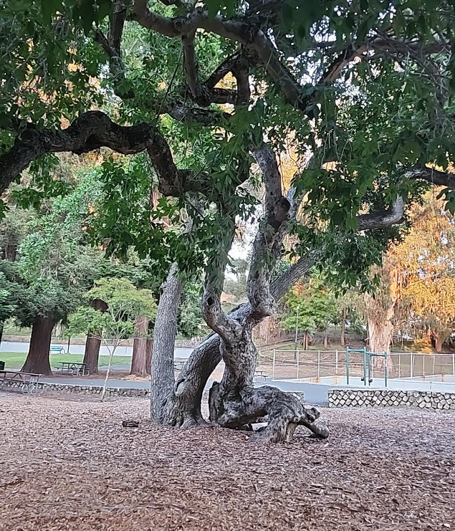 Memorial Park 3