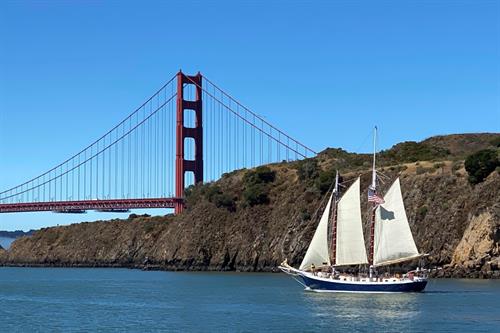 Wildlife Sail under the Golden Gate Bridge 1