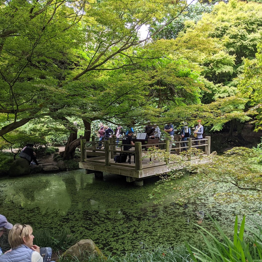 Free Admission to SF’s Botanical Garden on Thanksgiving 5
