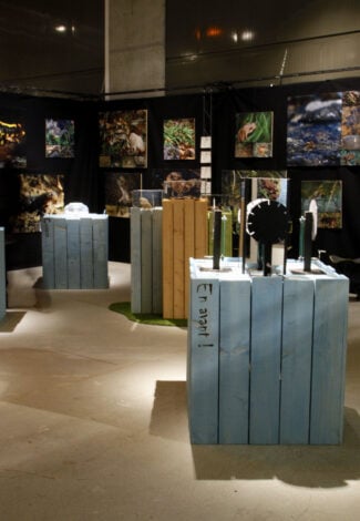Exposition : Reptiles et amphibiens