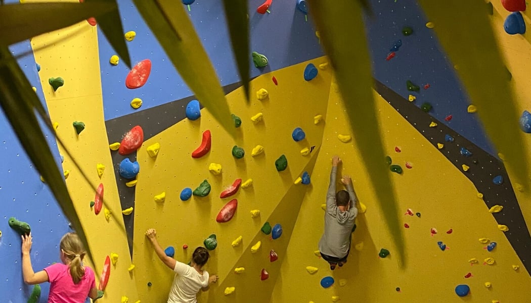 Squash & Bloc 2