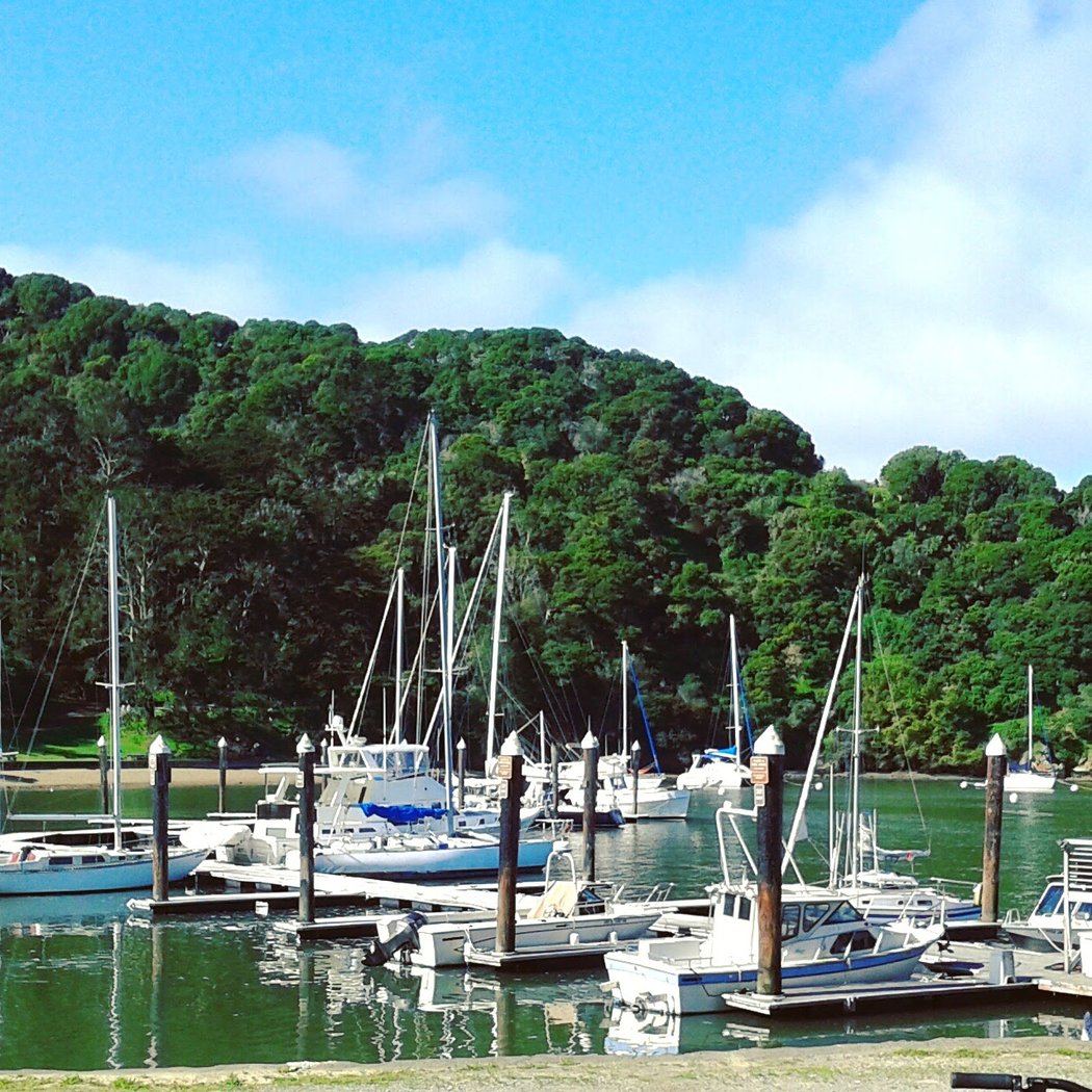 Angel Island Company Office 3