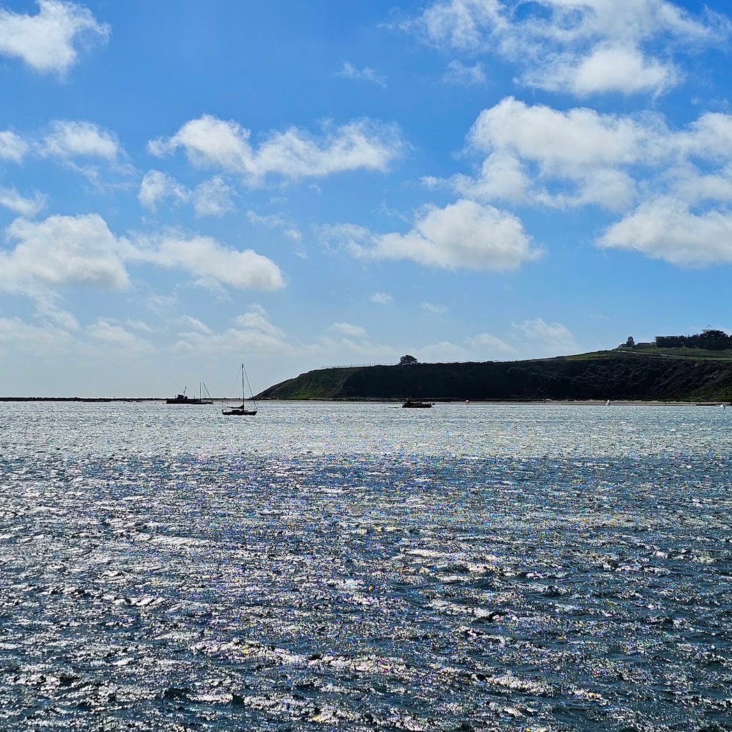 Pillar Point Beach 1