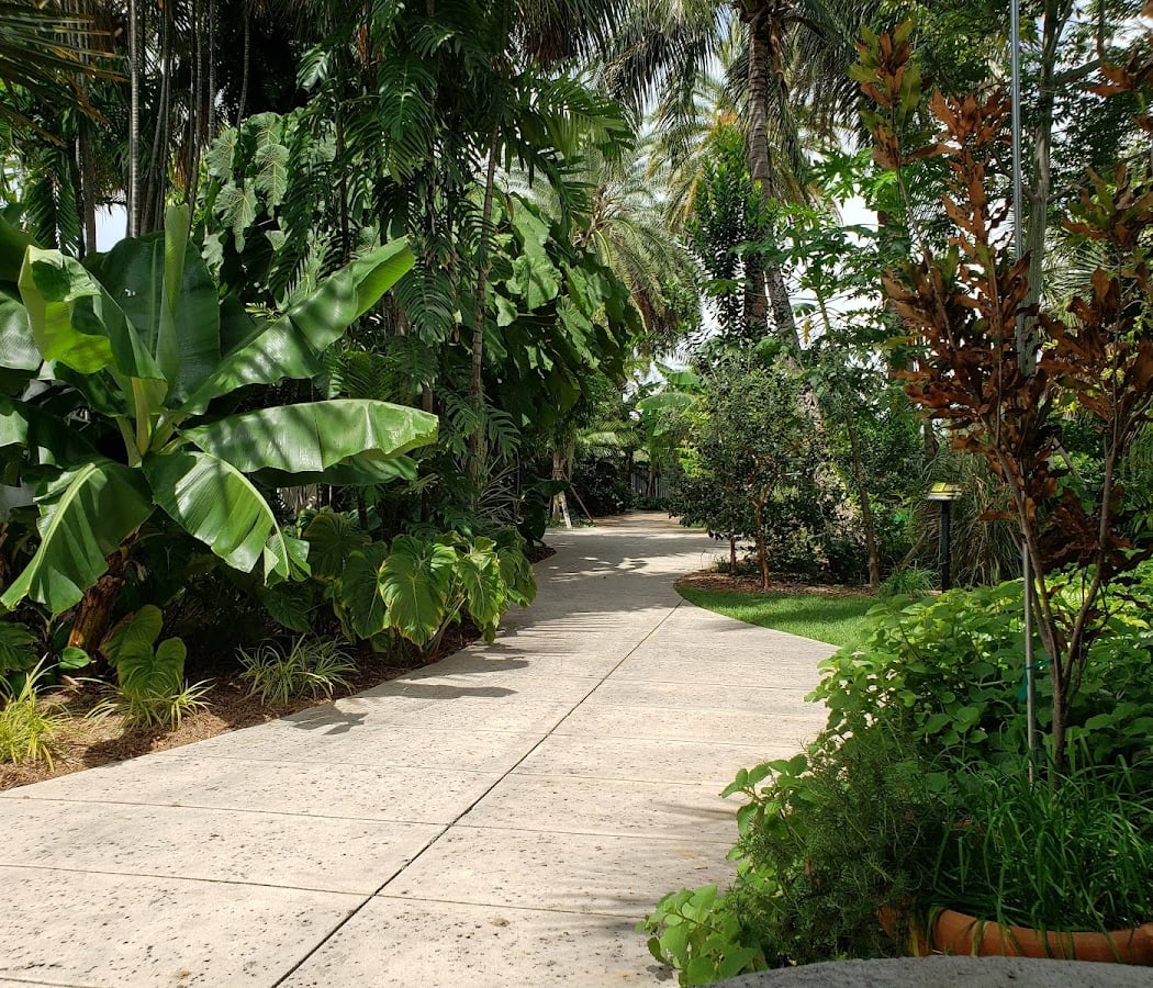 Free Miami Symphony Orchestra Garden Concert 2