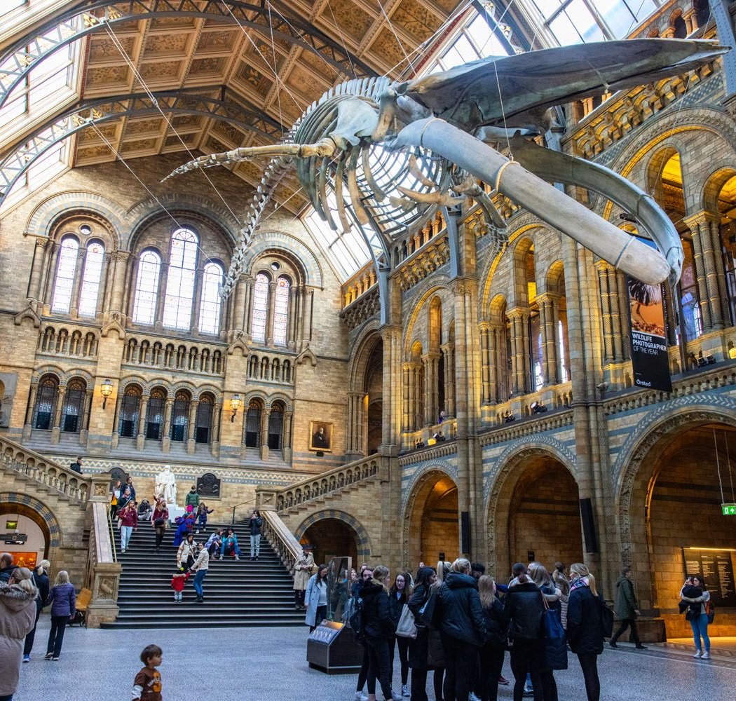 Natural History Museum 4