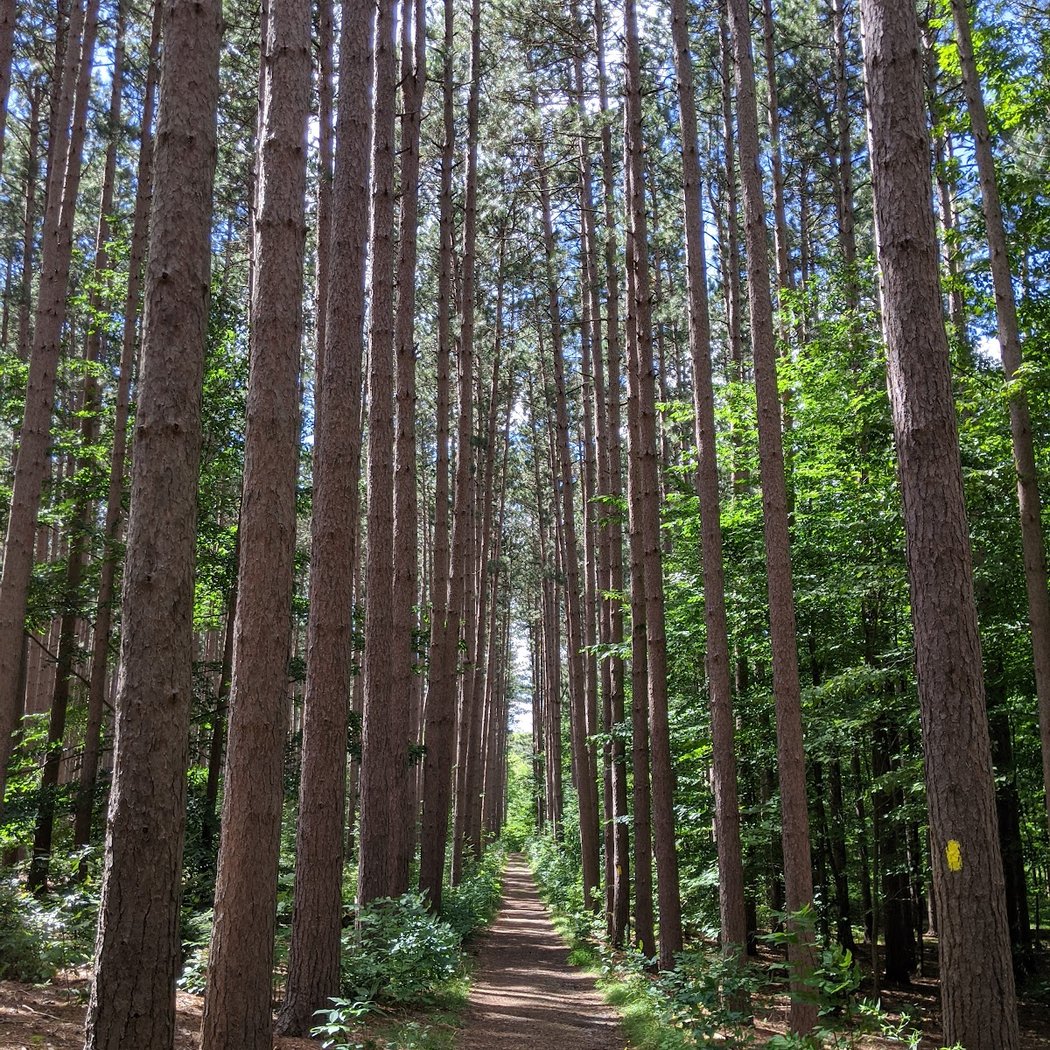Eco-Book Club & Hike 3