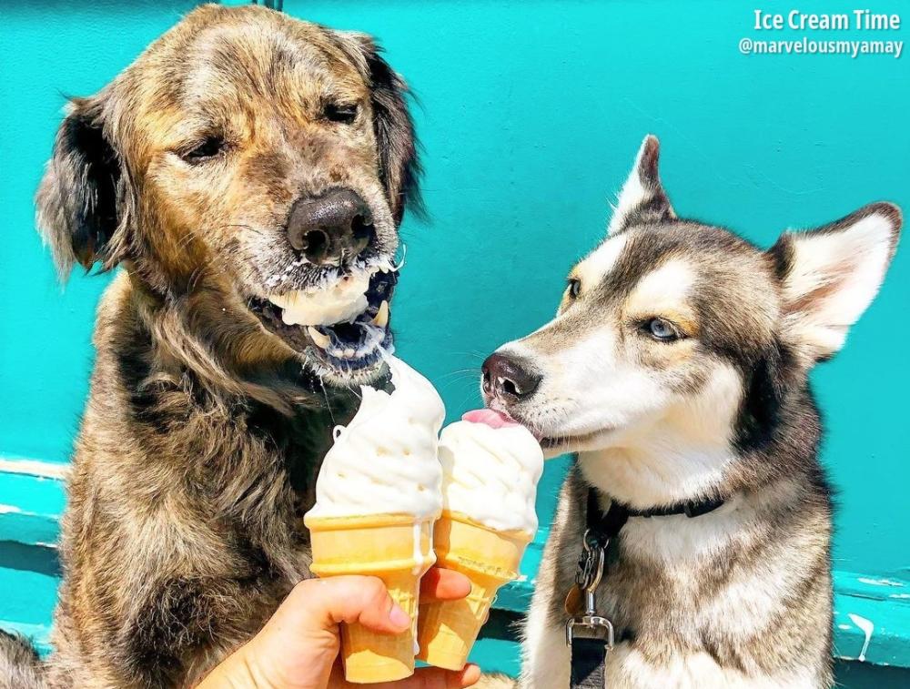 Ice Cream Time 1